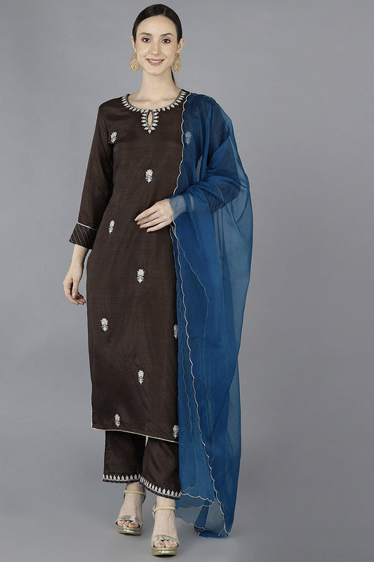 Ahika Women Grey Silk Blend Embroidered