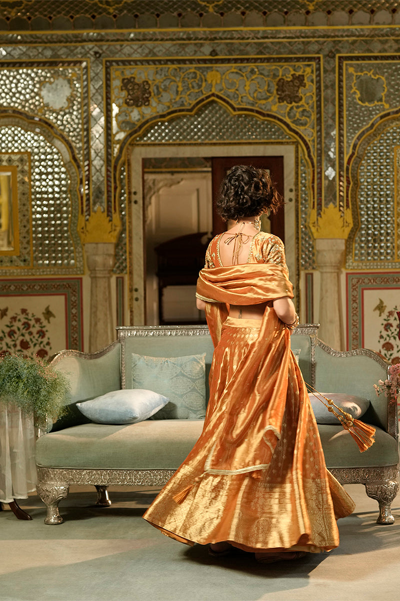 Orange Silk Blend Embroidered Flared Lehenga Choli With Dupatta PKSKD2865